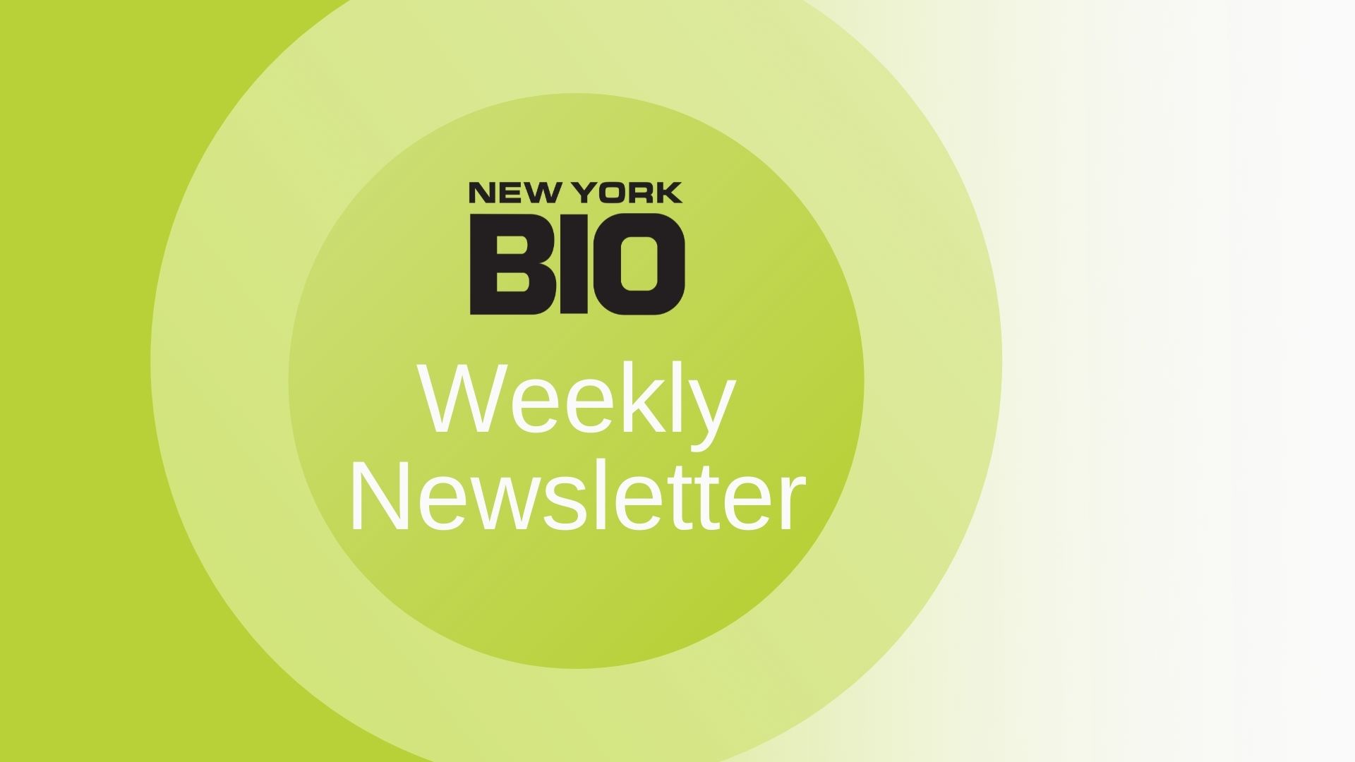 Newsletter Header