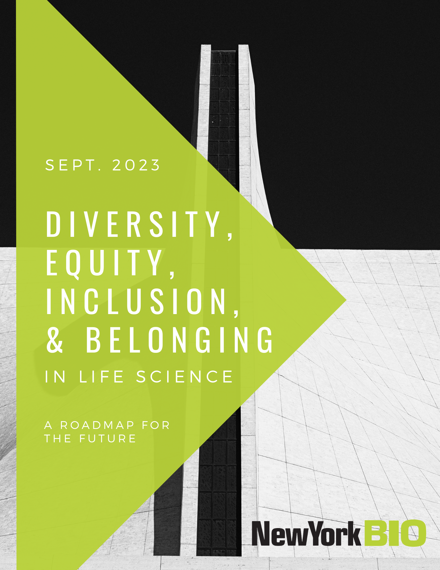 Diversity, Equity, Inclusion & Belonging Guidebook